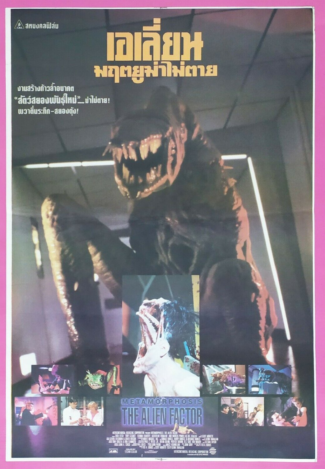 Metamorphosis: The Alien Factor (1990) Thai Movie Poster Original