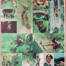 RAMBO: FIRST BLOOD (1982) Thai Lobby Card Poster Un-Cut Original