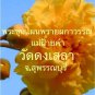 Phra Khun Paen Prai Pakawan - Mae Fai Kham+Silver Karut 2 Nos. + S/S Pendant # 2