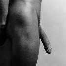 TRANNY PHOTO SHEMALE IMAGE XXX