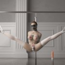 2D Model in Bondage Tied in Rope