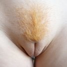 Hairy Teen Pussy Photo