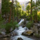 Flagstaff Area