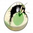 pokebreed6iv