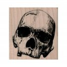 NEW Realistic Skull RUBBER STAMP, Skull Stamp, Halloween Stamp, Scary Stamp