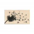 NEW Blowing Dandelion (With Extra Seed)  RUBBER STAMP, Dandelion Stamp, Nature