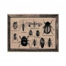 NEW Bug Specimens RUBBER STAMP, Insect Stamp, Bug Stamp, Entomology, Beetles