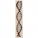 NEW DNA Strand/Helix Rubber Stamp, DNA Stamp, Double Helix Stamp, Science Stamp