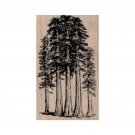 New Redwood Trees RUBBER STAMP, Tree Stamp, Nature Stamp, Woods Stamp, Forest