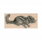 Mounted Rubber Stamp, Chipmunk Stamp, Eastern Chipmunk Stamp, Rodent Stamp