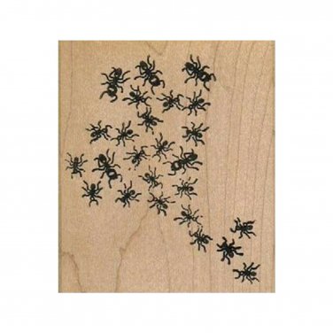 NEW Ant Colony RUBBER STAMP, Nature Stamp, Picnic Stamp, Insect Stamp