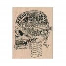 NEW Steampunk Expose Skull RUBBER STAMP, Skeleton Stamp, Skull Stamp, Steampunk