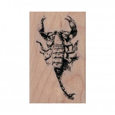 NEW Scorpion RUBBER STAMP, Insect Stamp, Bug Stamp, Entomology Stamp, Arachnid