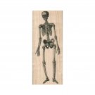 NEW Skeleton RUBBER STAMP, Halloween Stamp, Spooky Halloween Stamp, Bones, Skull