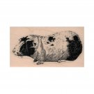 NEW Guinea Pig RUBBER STAMP, Cavia Porcellus Stamp, Guinea Pig Lover Gift, Pets