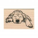 NEW Sleeping Dog RUBBER STAMP, Dog Stamp, Puppy Stamp, Golden Retriever Puppy