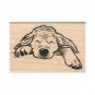 NEW Sleeping Dog RUBBER STAMP, Dog Stamp, Puppy Stamp, Golden Retriever Puppy