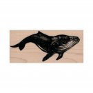 NEW Humpback Whale RUBBER STAMP, Whale Stamp, Ocean Stamp, Sea Life Stamp