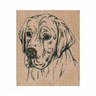 Mounted Rubber Stamp, Labrador Retriever Stamp, Lab Stamp, Retriever Stamp, Dogs