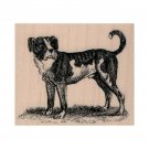 NEW Dog Looking RUBBER STAMP, Dog Stamp, Concerned Dog Stamp, Dog Standing Stamp