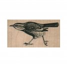 NEW Bird RUBBER STAMP, Walking Bird Stamps, Swallow Stamp, Small Bird Stamp