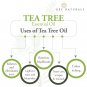 Pure and Natural Tea Tree Essential Oil for Skin, Hair and Acne care  (15 ml)
