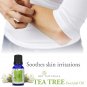Pure and Natural Tea Tree Essential Oil for Skin, Hair and Acne care  (15 ml)