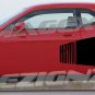 2012 2011 2010 2014 2008 2013 CHALLENGER BILLBOARD Decal Graphic Vinyl 2009 HEMI