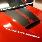 HEMI HOOD Decal Graphic 2019 CHARGER SRT PREMIUM VINYL Stripe HONEYCOMB SCAT 392
