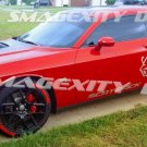 2015-23 MATTE BLACK Decal Graphic Vinyl CHALLENGER MOPAR SRT SUPER BEE HEMI SCAT