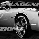 Custom  CAST VINYL DECAL KIT GRAPHICS Stripes CHALLENGER MOPAR SRT RT Strobe Scat HEMI 392
