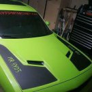 HOOD CAST VINYL DECAL KIT GRAPHICS 2015-2018 CHALLENGER SRT BEE HEMI SCAT PACK 392 6.4L MOPAR HOOD CAST VINYL DECAL KIT GRAPHICS 2015-2018 CHALLENGER SRT BEE HEMI SCAT PACK 392 6.4L MOPAR