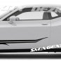 Tribal CAST VINYL DECAL KIT GRAPHICS Stripe Challenger RT SRT Custom MOPAR reflective scat pack