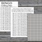 Penguin bingo game,Penguin bingo card,birthday bingo card,60 Printable card,INSTANT DOWNLOAD--384