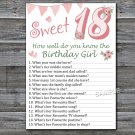 18th Birthday How well do you know the birthday girl,Adult Birthday Game,INSTANT DOWNLOAD-7