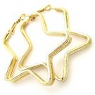 Metal Star Shaped Hoop Earrings - E2453013GOCP