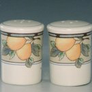 Mikasa Garden Harvest Salt and Pepper Shaker