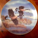 Golden Flight Canada Geese By Darrell Bush # 5094A Plate 1990 Limited Edition