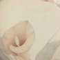 Keltcraft Misty Isle Eternal Blush Dinner Plates 10 1/2&acirc;�� Lot Of 4 Noritake 9138