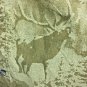 Columbia River Lodge Button Up Shirt Mens XXL Tan Elk Deer Long Sleeve Cotton
