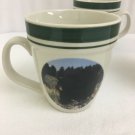 Folkcraft Stoneware Cups Black Bear Coffee Mugs Set Of 4