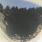 Folkcraft Stoneware Cups Black Bear Coffee Mugs Set Of 4
