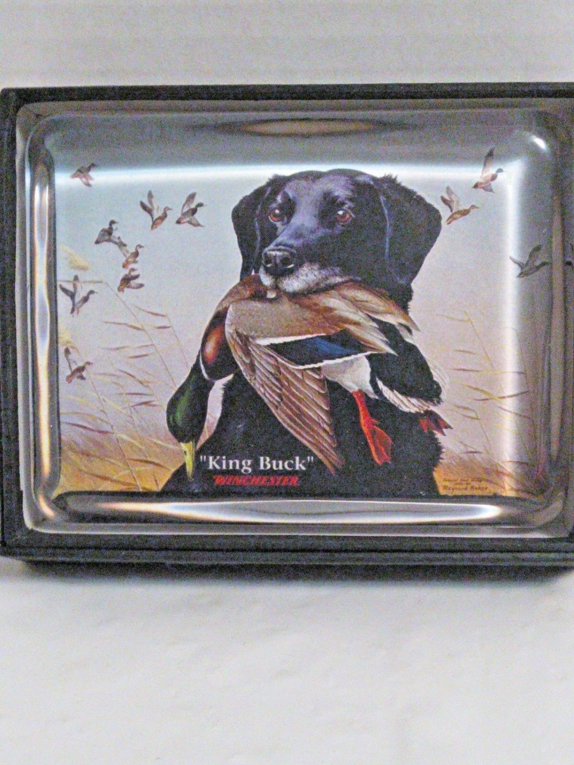 WINCHESTER Waterfall Glass Collection paperweight "King Buck" black lab Duck