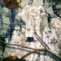 AGO RealTree APhd Mens Polyester Fleece Mesh Lined Camo Hunting Pants Size M