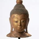 18th Century Burmese Shan Gold Wood Buddha Head - 51cm/20"