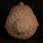 Buddha Statue - Antique Dvaravati Style Thai Stone Buddha Head 35cm/14"