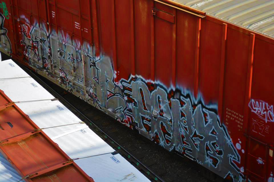 Favorite Freight Train Graffiti Transportation Digital Art Image Photograph