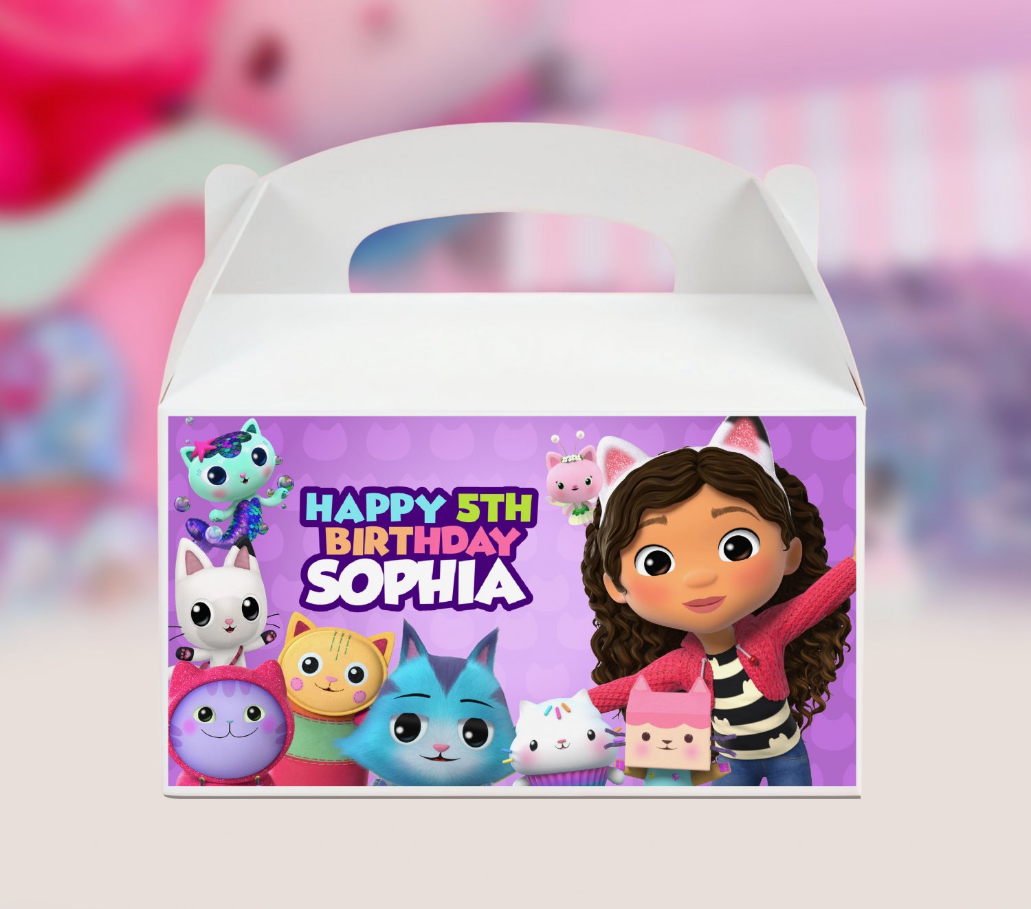 GABBY'S DOLLHOUSE BOX FRONT LABEL