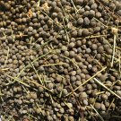 Organic Rabbit Bunny Poo Garden Lawn Manure Fertilizer Hermit Crab Food 2 Lbs