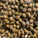 Organic Rabbit Bunny Poo Garden Lawn Manure Fertilizer Hermit Crab Food 1 LB